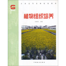 植物组织培养
