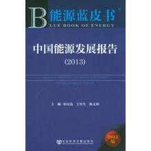 2013-中国能源发展报告-能源蓝皮书-2013版
