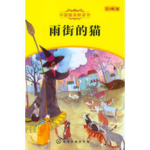 雨街的猫-中国最美桥梁书