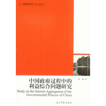 中国政府过程中的利益综合问题研究