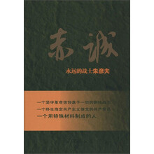 赤诚--永远的战士朱彦夫