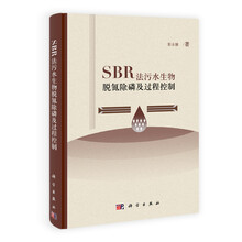 SBR法污水生物脱氮除磷及过程控制