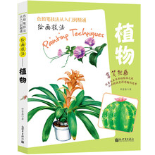 绘画技法——植物