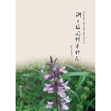 浙大校园野草野花 浙江大学校园植物