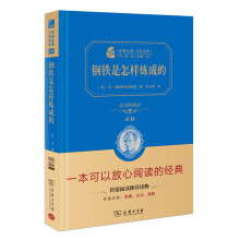 钢铁是怎样炼成的 新版 经典名著 大家名译（新课标 无障碍阅读 全译本精装 ）