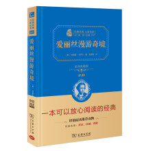 爱丽丝漫游奇境 新版 经典名著 大家名译（新课标 无障碍阅读 全译本精装 ）