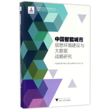 中国智能城市信息环境建设与大数据战略研究 中国智能城市建设与推进战略研究