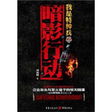 暗影行动