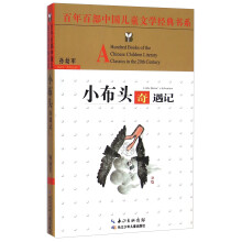 小布头奇遇记/百年百部中国儿童文学经典书系