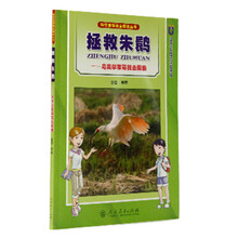 拯救朱鹮:鸟类学家带我去探索