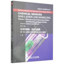化学传感器·仿真与建模(第1卷):金属氧化物的显微结构表征与建模(下)