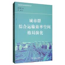 城市群综合运输效率空间格局演化/交通地理与空间规划研究丛书