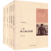 王小波逝世十五周年特别纪念版套装（共5册）