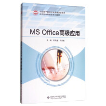 MS Office高级应用/应用型本科高校系列教材