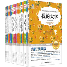语文新课标必读丛书系列（套装共20册）《我的大学》《小飞侠彼得·潘》《秘密花园》