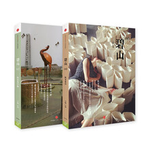碧山06+07（套装共2册）