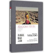 在我说愿意之前