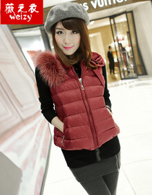 双十季薇之衣2013秋冬新款<em>女装</em>欧洲站<em>立领</em>花