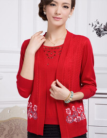 艾斯维雅2013女<em>秋装</em>长袖2件套外套<em>中老年人</em>毛