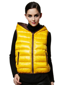 波司登 2013 <em>女士</em>经典<em>羽绒马甲</em> B1301004在京