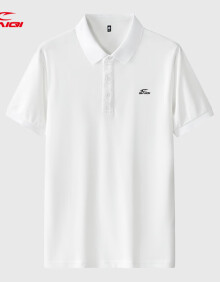 赛琪短袖T恤男2024夏季新款中青年商务休闲爸爸装凉感透气男士Polo 白色 XL