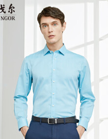 雅戈尔DP免烫长袖衬衫男春季新品纯色衬衫男商场同款易打理 蓝绿色 42