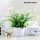 塑料白色雏菊+仿瓷花瓶