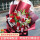 19朵红色康乃馨百合花束—新款