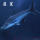 蓝鲨16-18cm1条