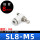 白色SL8-M5