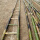 4.0米竹梯(清漆防裂耐用)