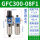 GFC300-08F1(差压排水)2分接口