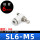 白色SL6-M5
