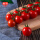 红番茄198g6盒 1188g
