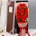 21朵红康乃馨玫瑰花束+礼盒+贺卡