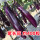紫长茄 约400粒
