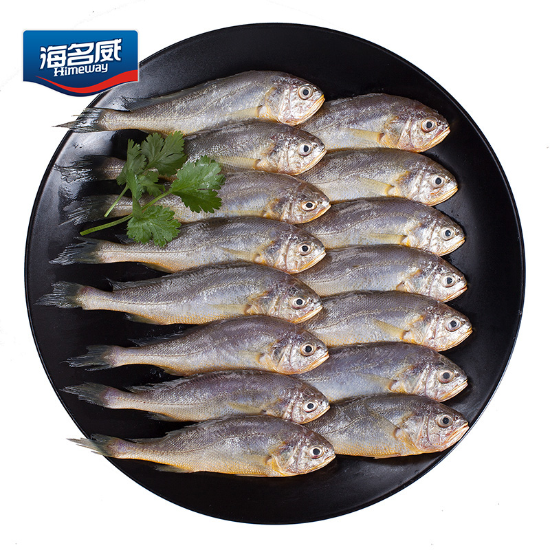 海名威 国产冷冻东海小黄鱼 500g 16-20条 袋装 生鲜海鲜水产 鱼类 年货节 健康