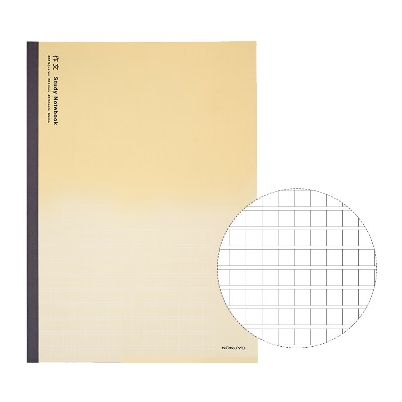 日本国誉（KOKUYO）设计本 作文学习本 300格 B5/40页12本装 WCN-DNB54-G4