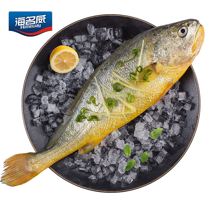 海名威 国产冷冻黄花鱼（大黄鱼） 600g 单条装 生鲜海鲜水产 鱼类 年货节 健康轻食
