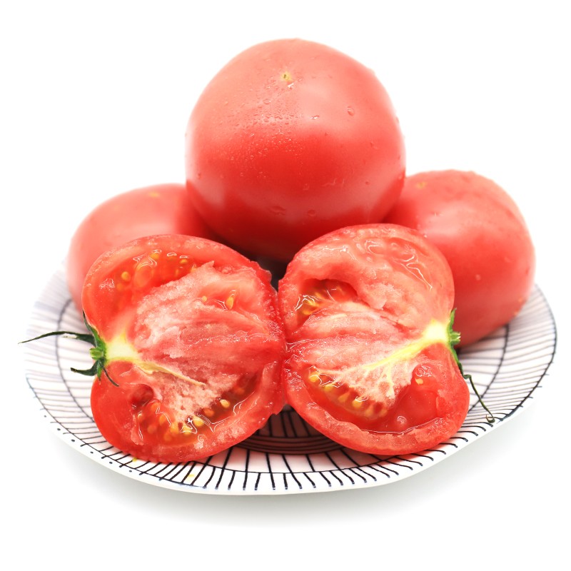 普羅旺斯西紅柿凈重4.5-5斤 新鮮沙瓤大番茄 自然成熟可生吃水果西紅柿