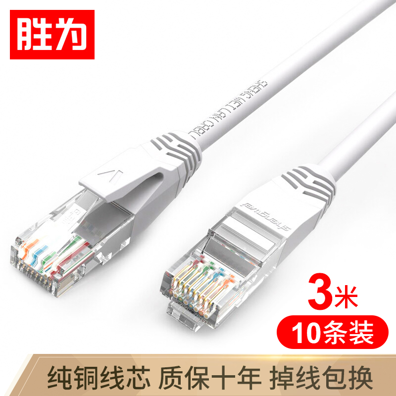胜为（shengwei）超五类网线3米10条装 8芯RJ45网络超5类网线 百兆电脑笔记本