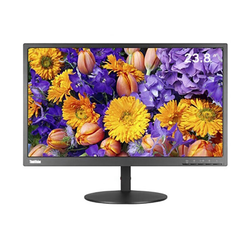 联想（ThinkVision） TE系列 FHD电脑显示器 低蓝光 可俯仰 TE24-20（VGA+DVI接口）