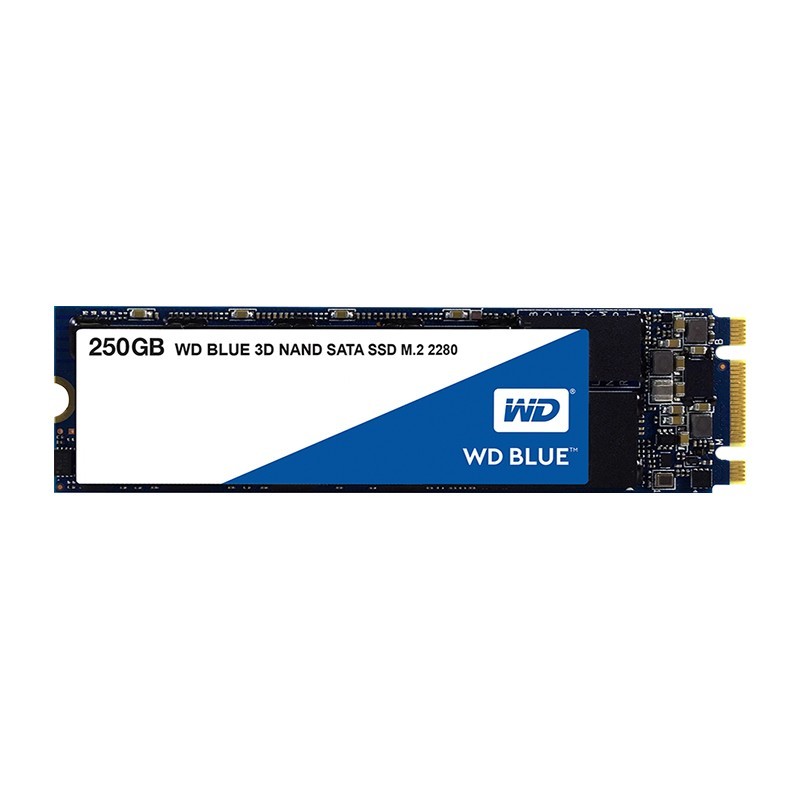 西部数据（WD）250GB SSD固态硬盘 M.2接口(SATA总线) Blue系列-3D进阶高速读写版｜五年质保