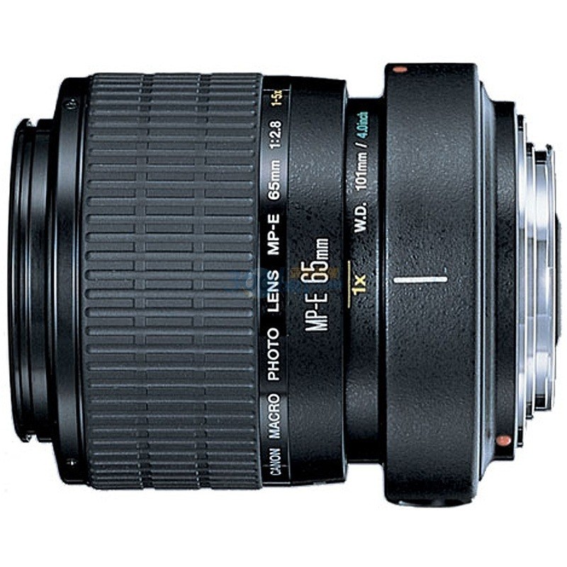 佳能（Canon）MP-E 65mm f/2.8 1-5X 微距摄影镜头