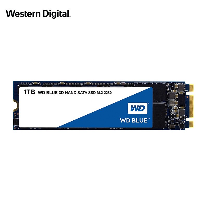 西部数据（WD）1TB SSD固态硬盘 M.2接口(SATA总线) Blue系列-3D进阶高速读写版｜五年质保
