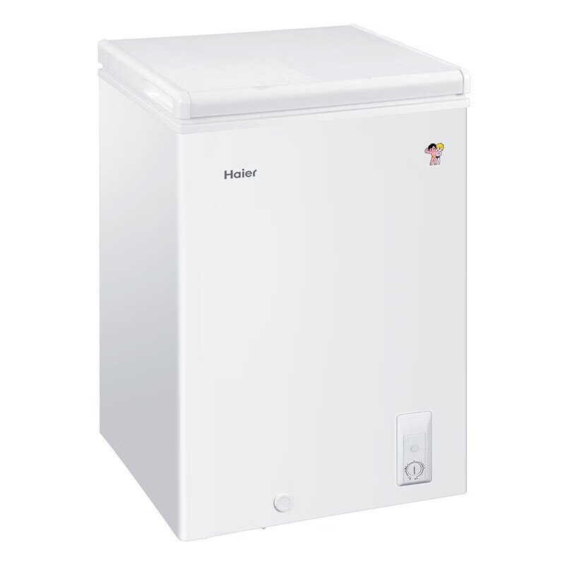 海尔（Haier）100升家用冷藏冷冻转换冰柜 节能单温母乳冷柜小冰箱 BC/BD-100