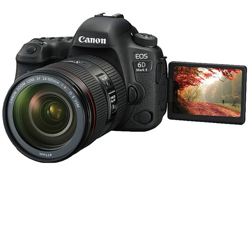 佳能（Canon） EOS 6D Mark II 专业全画幅数码单反相机 佳能EF24-105mm f/4 II USM套机 套餐四大师摄影礼包