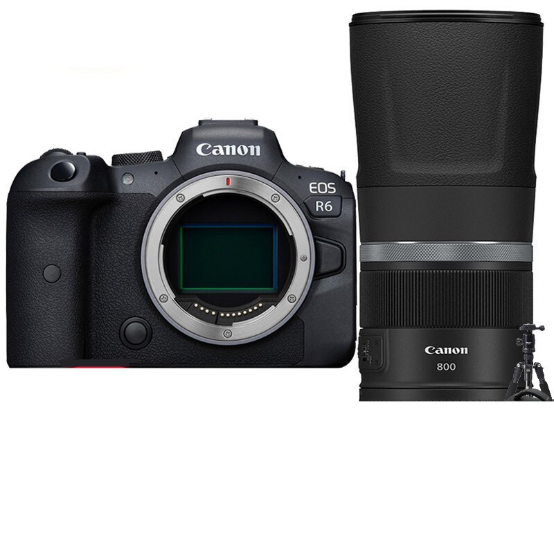 佳能（Canon）EOS R6 全画幅专微 Vlog微单相机 4K拍摄 RF 600mm F11 IS STM镜头套装 套餐四 大师摄影礼包