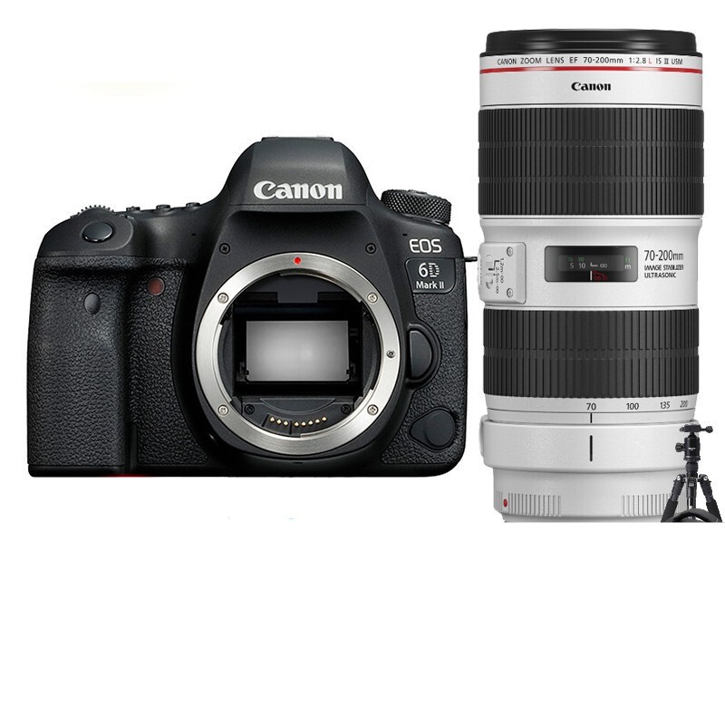 佳能（Canon） EOS 6D Mark II 专业全画幅数码单反相机 佳能EF70-200 2.8 IS III USM 套餐一基础摄影礼包