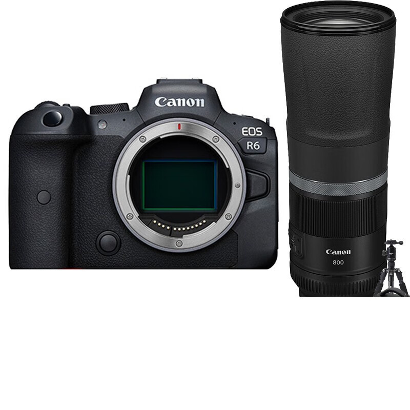 佳能（Canon）EOS R6 全画幅专微 Vlog微单相机 4K拍摄 RF 800mm F11 IS STM镜头套装 套餐三 专业摄影礼包